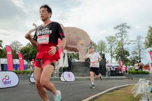 BIB: 
                            <button type="button" onclick="openModal(26528451)" class="btn btn-primary btn-sm float-right btn-popup" data-toggle="modal" data-target=".modal-high-quality">
                        <i class="fas fa-shopping-cart"></i> Add to Cart
                    </button>
                                            <button type="button" onclick="isThisMe(26528451, true)" class="btn btn-success btn-sm float-right btn-popup btn-isme hidden" data-toggle="tooltip" data-placement="bottom" title="นี่คือรูปของคุณใช่ไหม คลิกที่นี่เพื่อเอาเข้าอัลบั้ม">
                        <i class="fas fa-plus"></i> Add to album
                    </button>
                    <button type="button" onclick="isThisMe(26528451, false)" class="btn btn-warning btn-sm float-right btn-popup btn-isnotme hidden">
                        <i class="fas fa-ban"></i> Remove from album
                    </button>